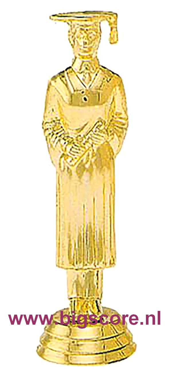 Diploma/Geslaagd Student Figuur 567 Goud